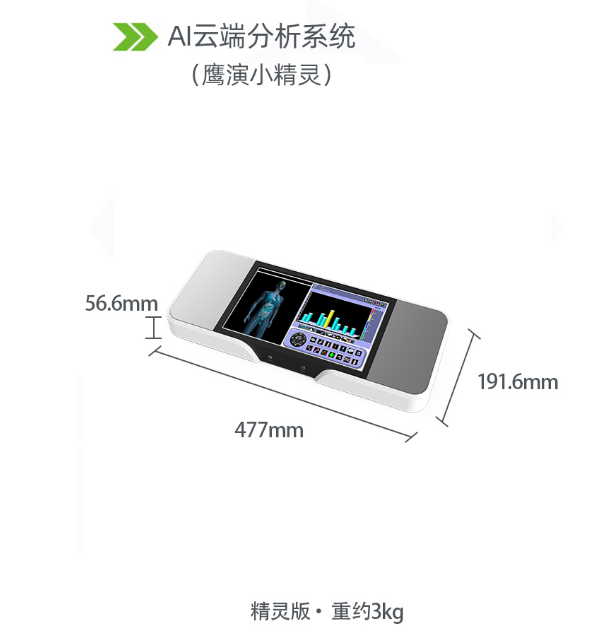 鹰演小精灵体重尺寸图.png