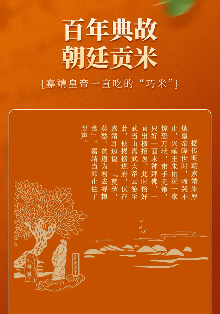 大米修改_02.jpg