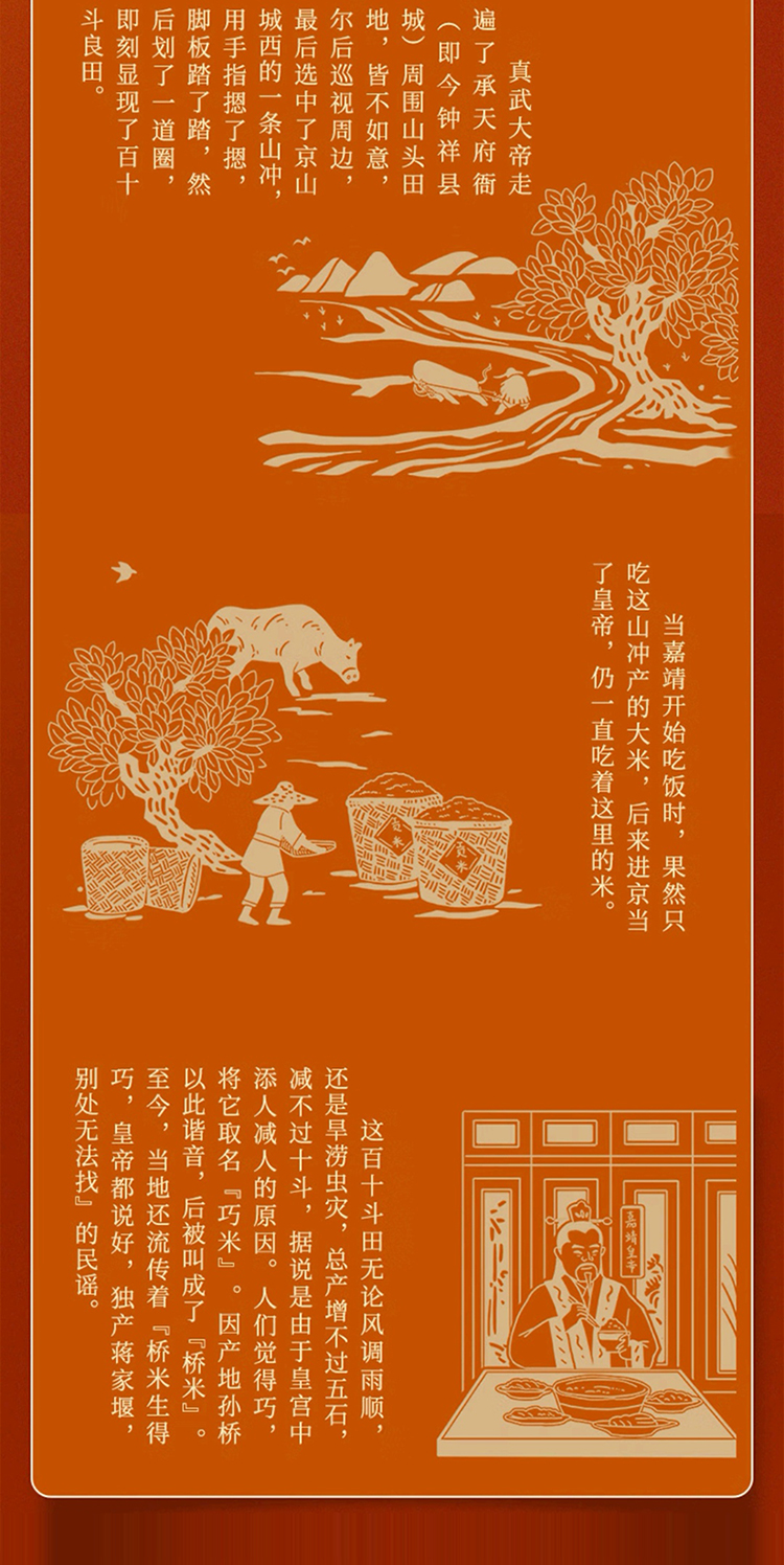 大米修改_03.jpg