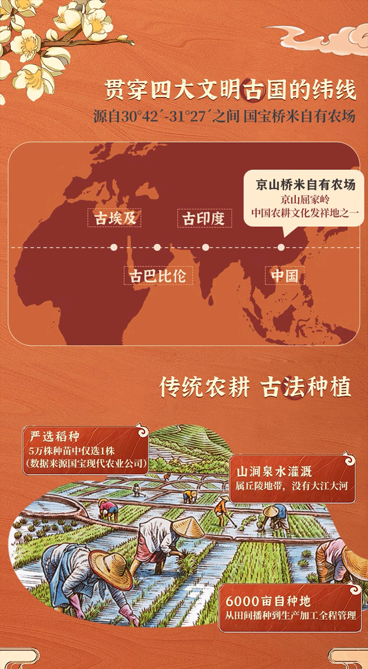 大米修改_04.jpg
