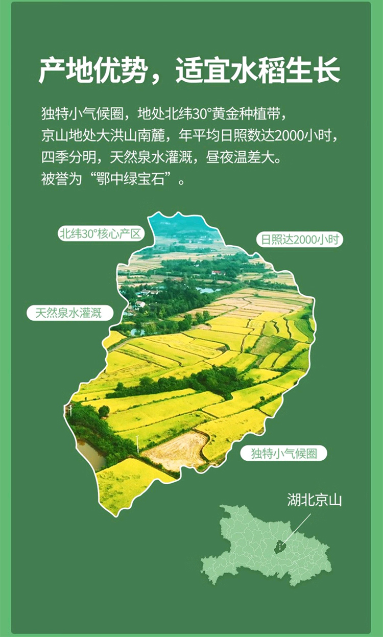 大米修改_16.jpg