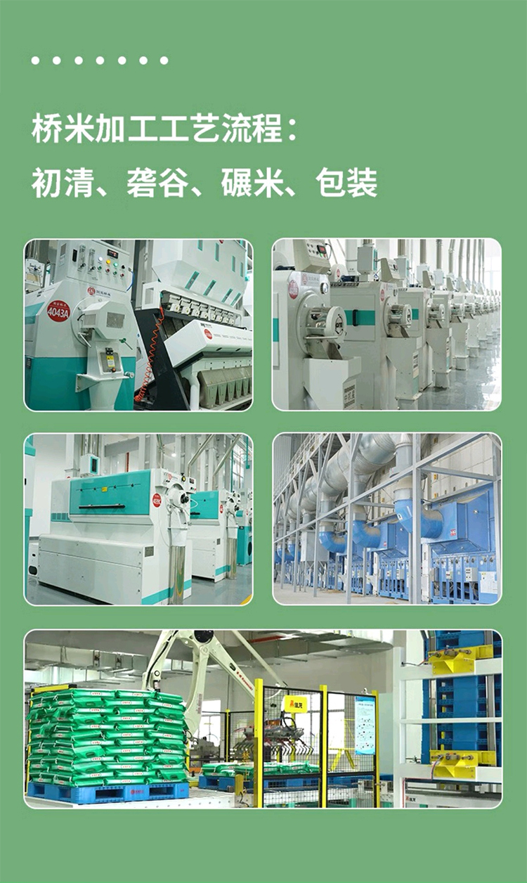 大米修改_19.jpg